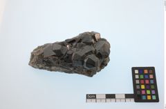Foto von Granat (NHMW-MIN-Ah274)